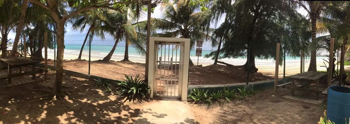 Beach Front Apt Isla Verde 2 Leilighet San Juan Eksteriør bilde